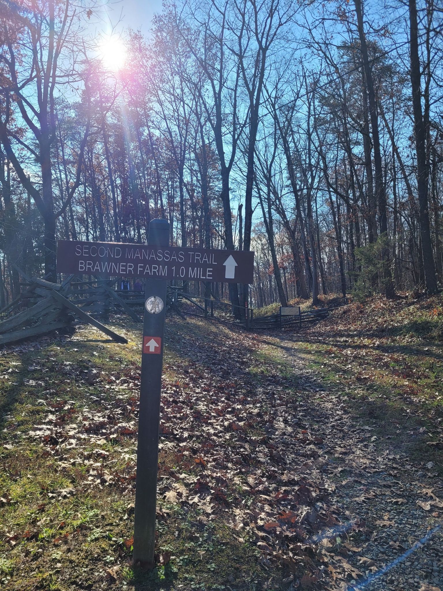 A trail sign points down a leaf-covered path in a sunlit, bare winter forest. - Unfinished Railroad Loop Trail