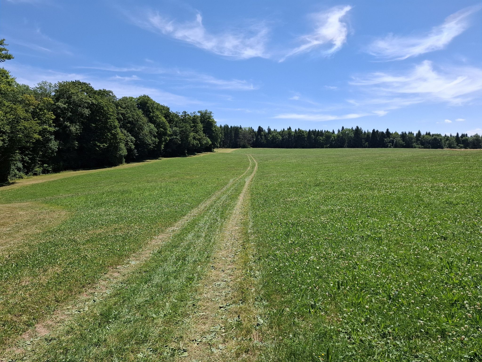 typischer Jura-Wiesentrail