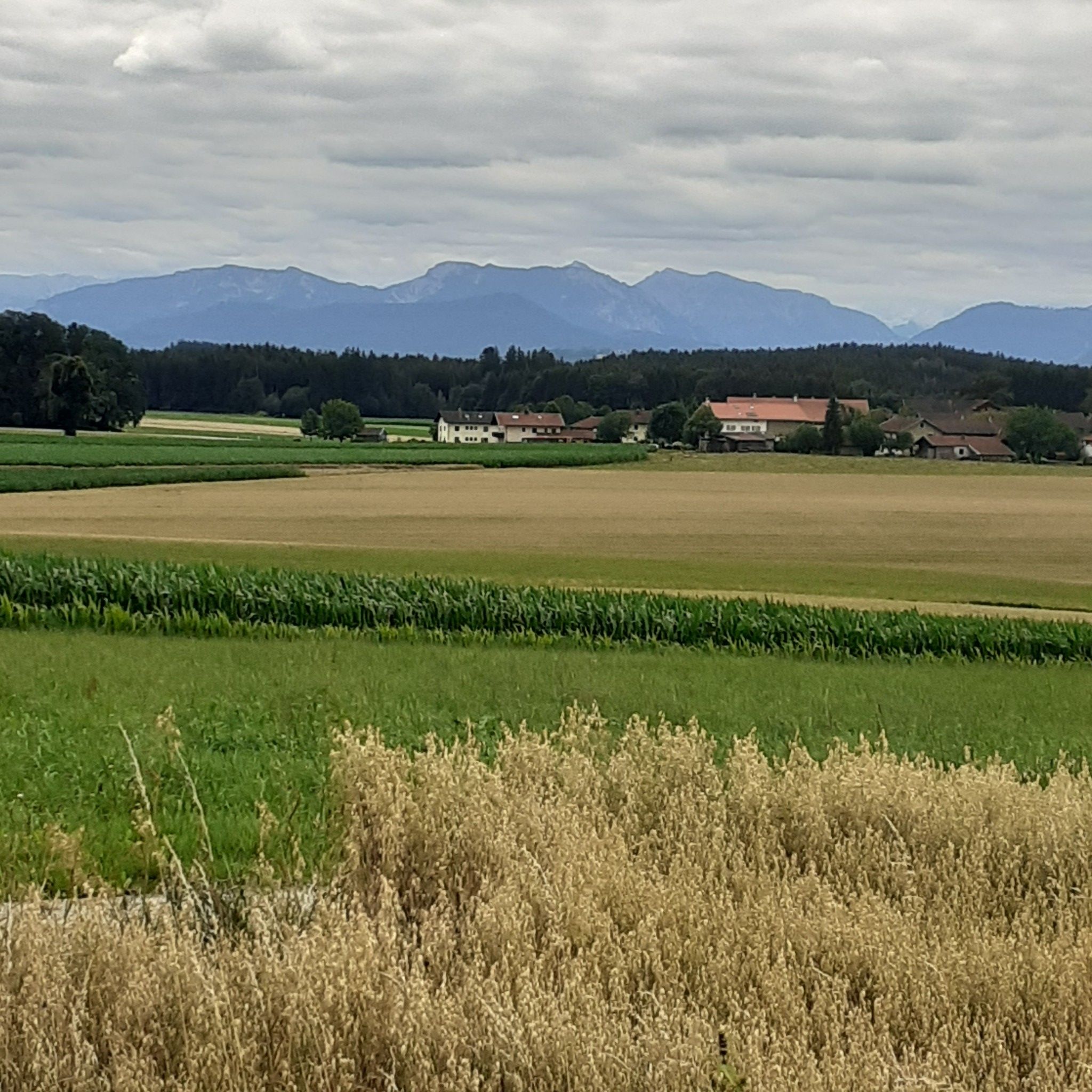 einfach nur schön
