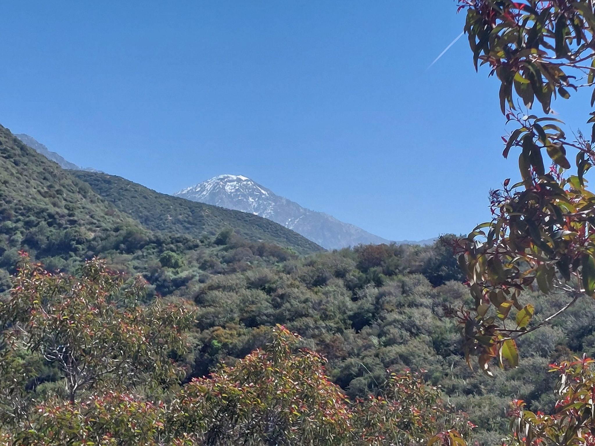 Distant snow-capped mountain peak rising above green, forested hills. - Cobal Canyon Loop