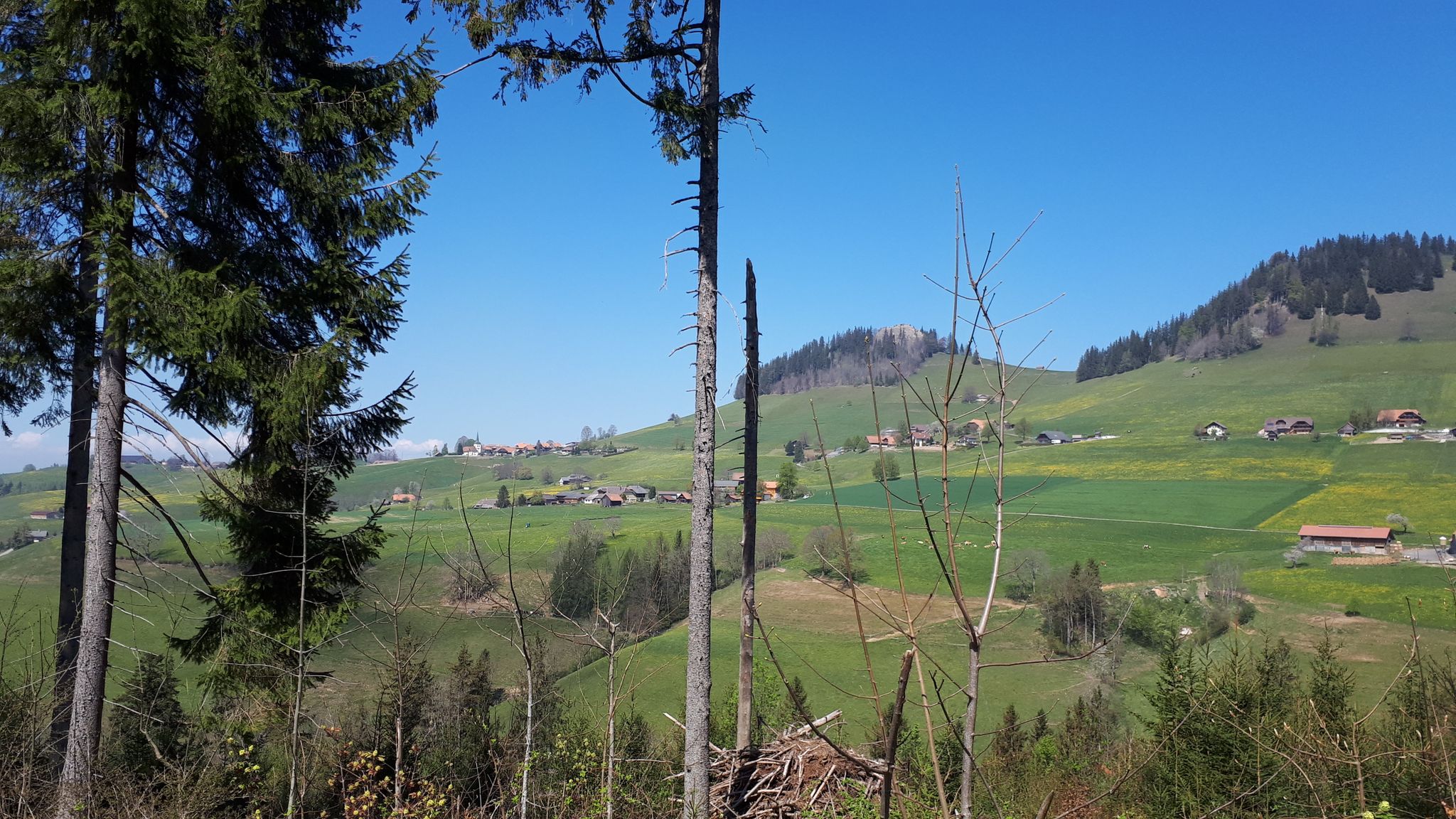 Guggisberg - Guggershörnli