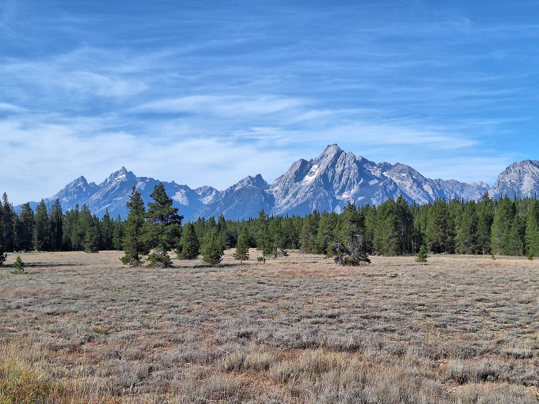 Expansive field and evergreen forest with jagged, snow-capped mountains under a clear blue sky. - Grand Teton National Park Road Trip