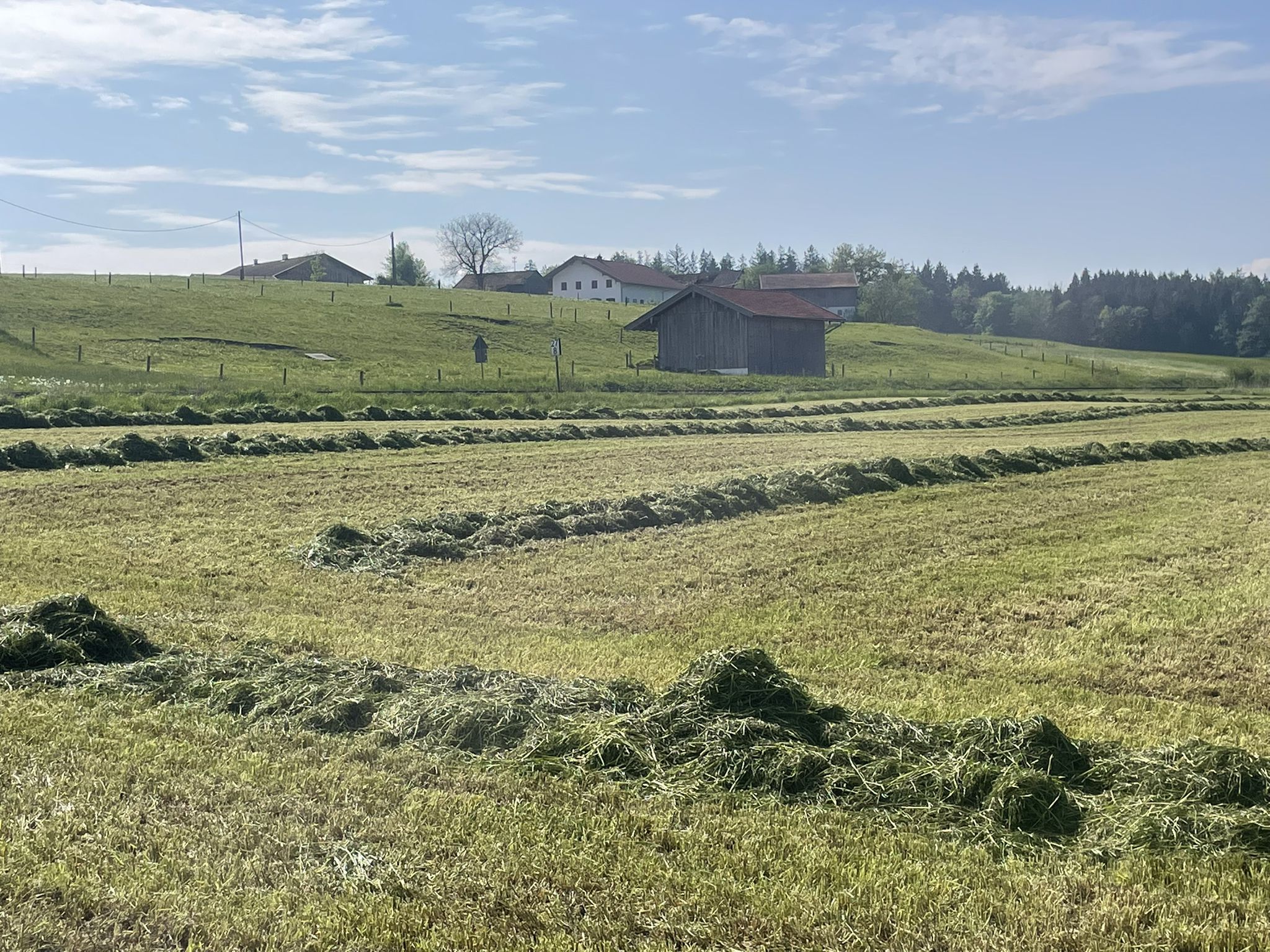 Reiten von Hirschpoint aus