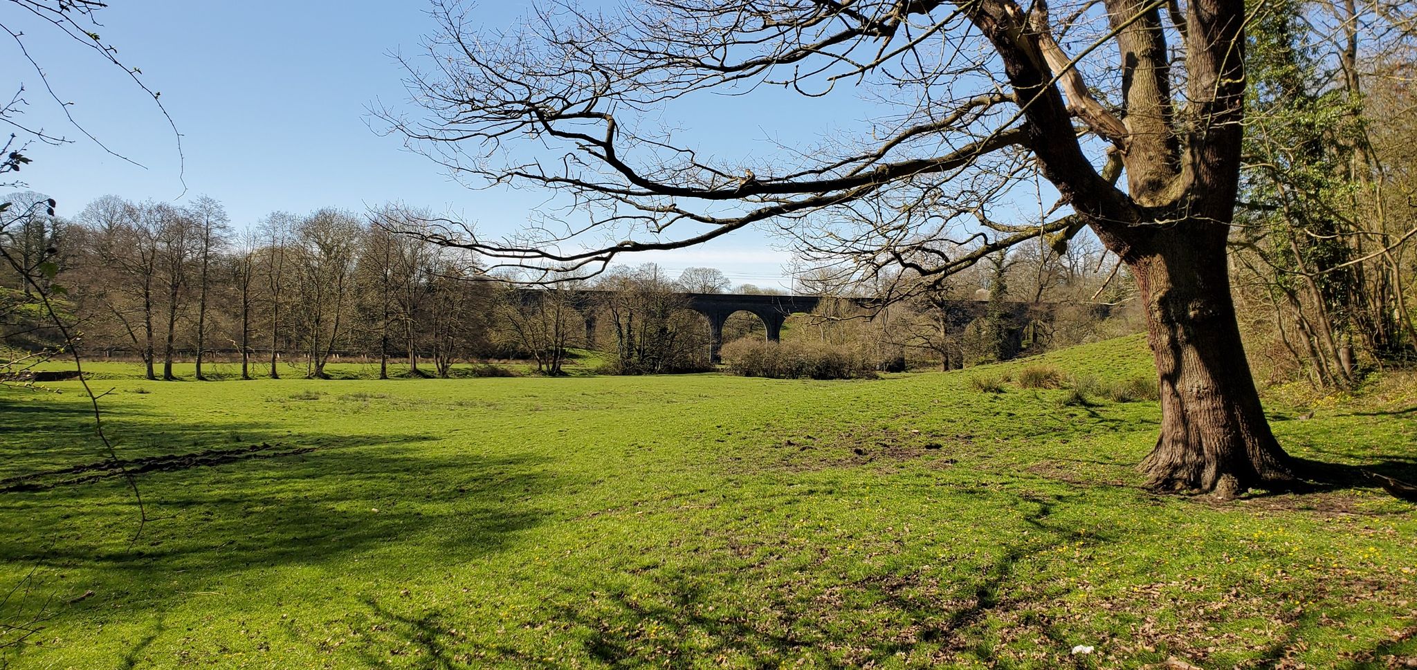 Linnet's bridge, Styal