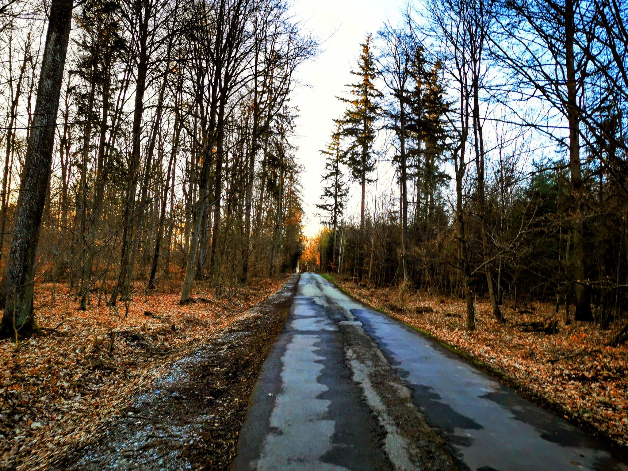 Endlich mal ein bisschen Wald und Windschutz, da konnte ich wieder mal ein Foto machen