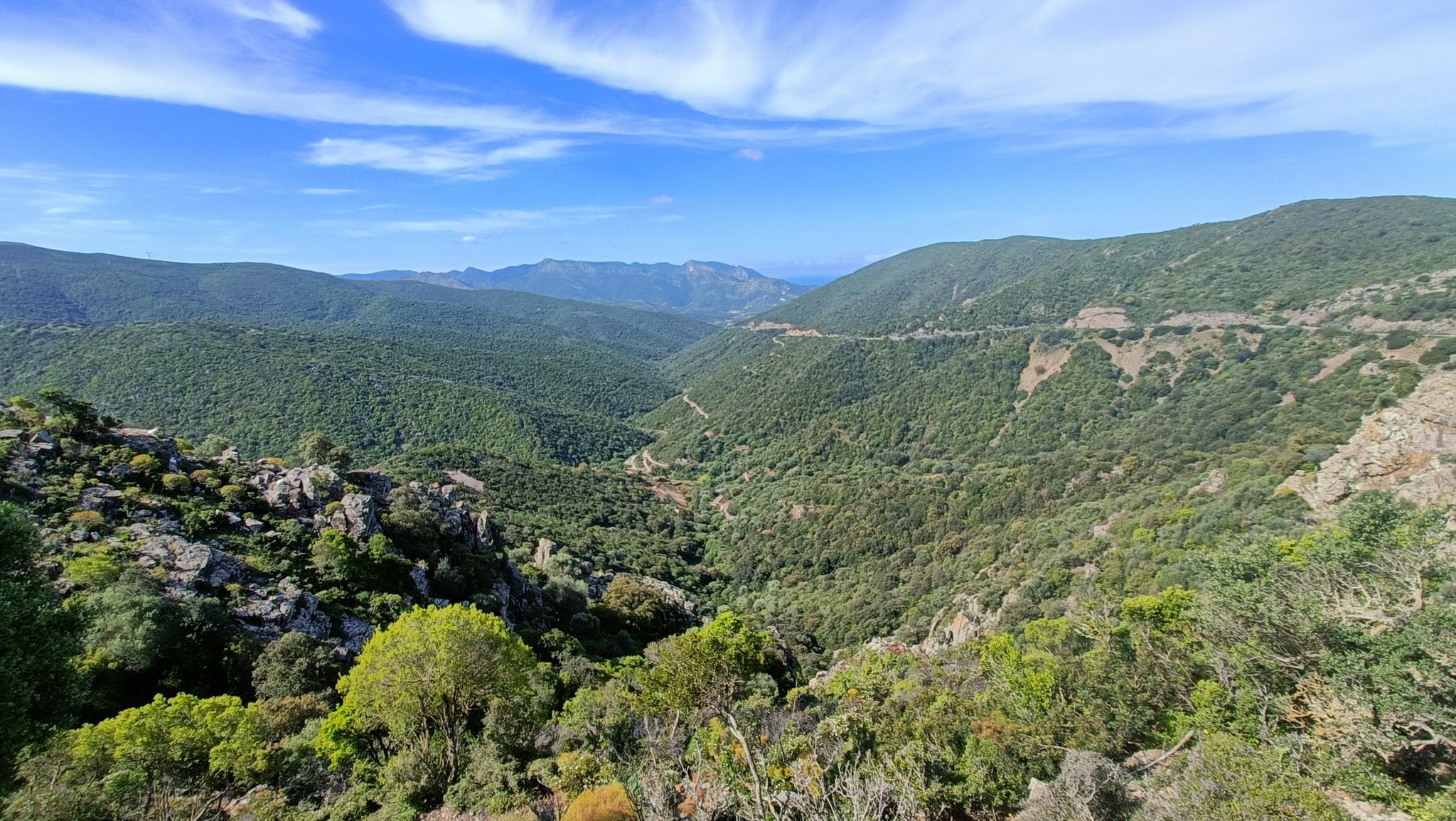 Sulcis/Iglesiente: foresta demaniale del Marganai.