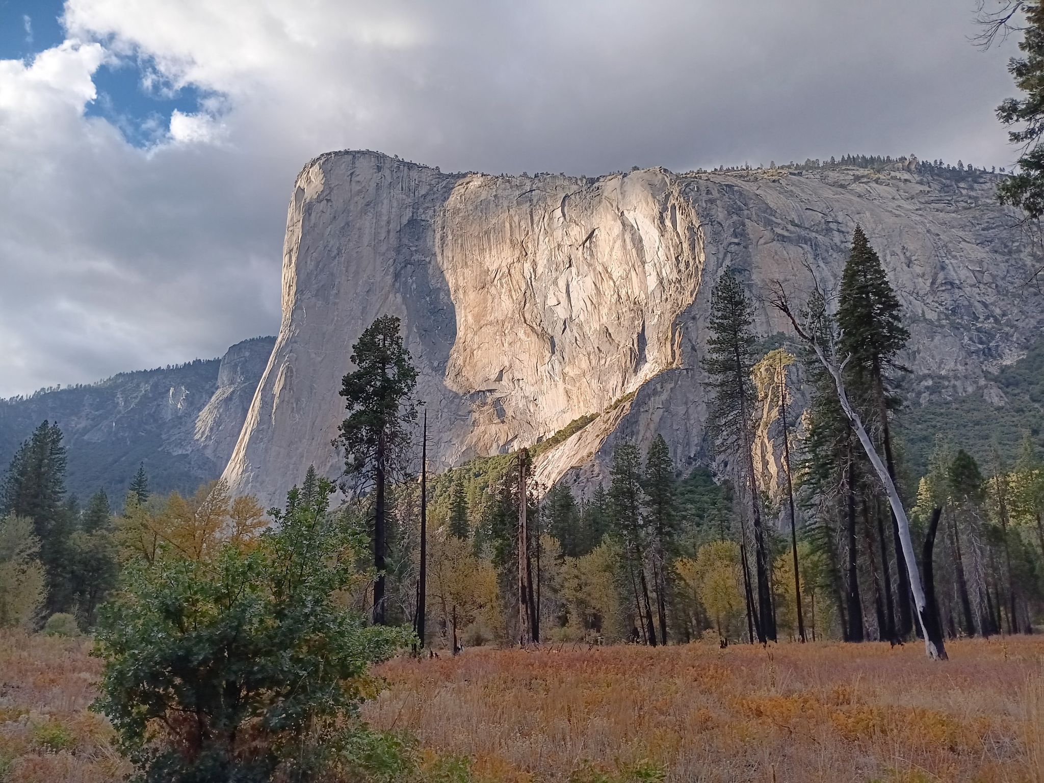 Dramatic sunlight illuminates a massive granite cliff overlooking an autumnal meadow and trees. - Yosemite Valley Loop Trail
