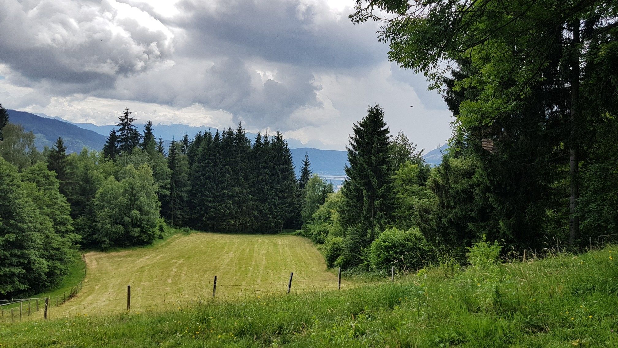 Seeblick 