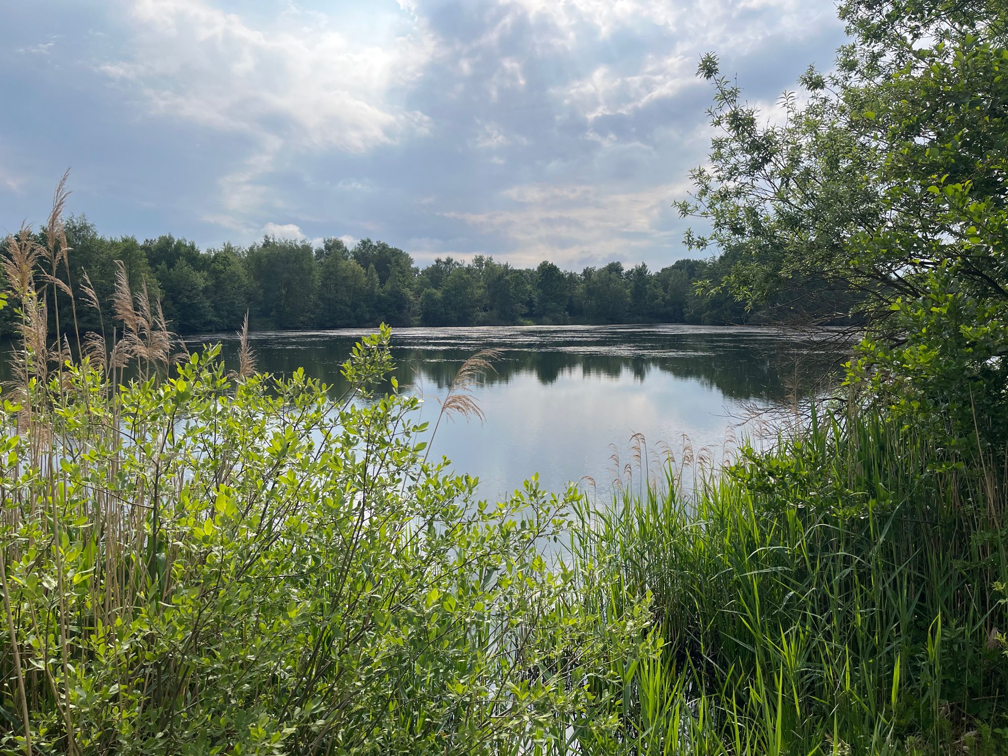 Blick auf den Maikampsee