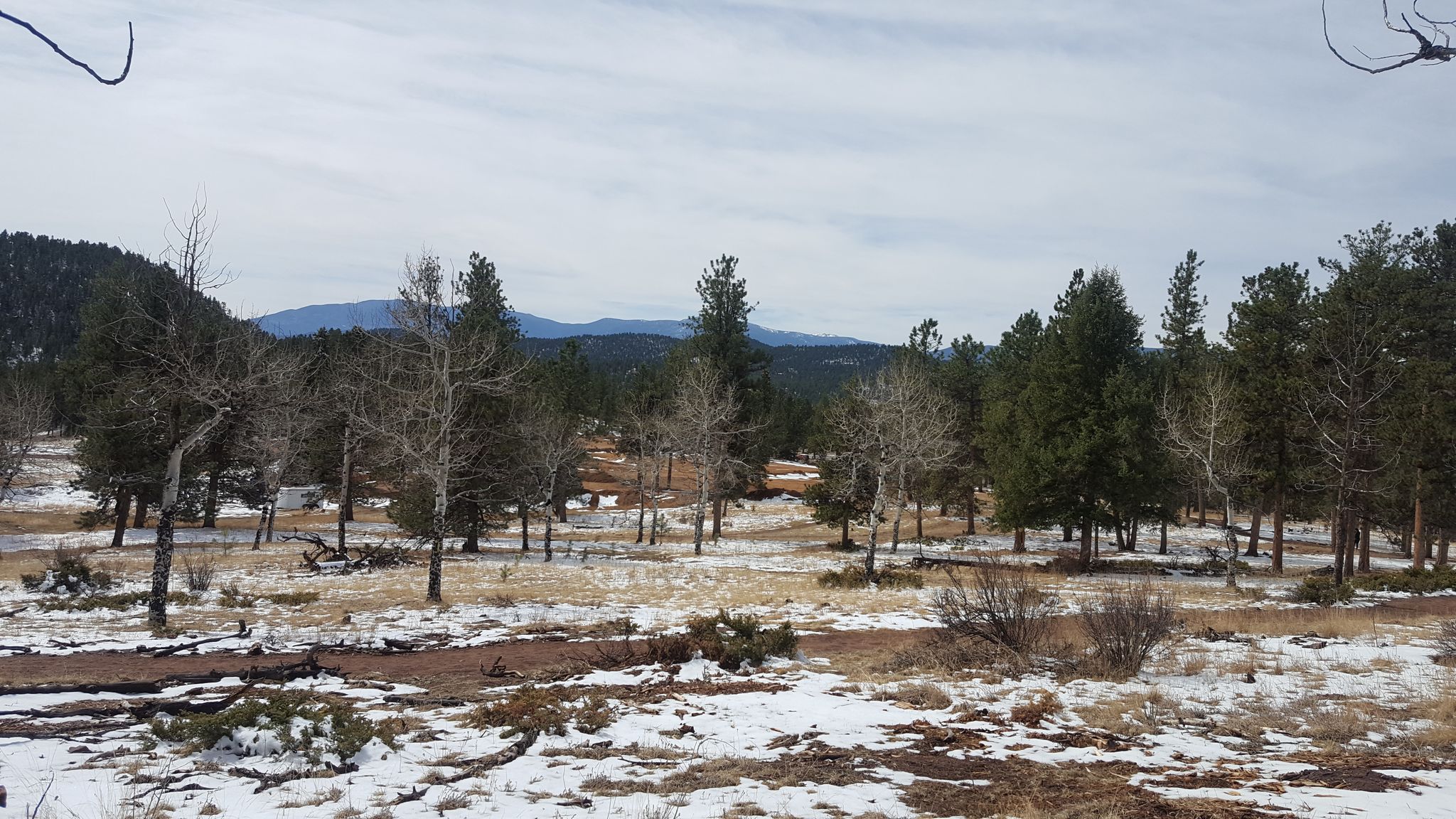 Snow-covered field with scattered trees and distant mountains under a cloudy sky. - Upper Trailhead loop from Staunton State Park Vistor Center