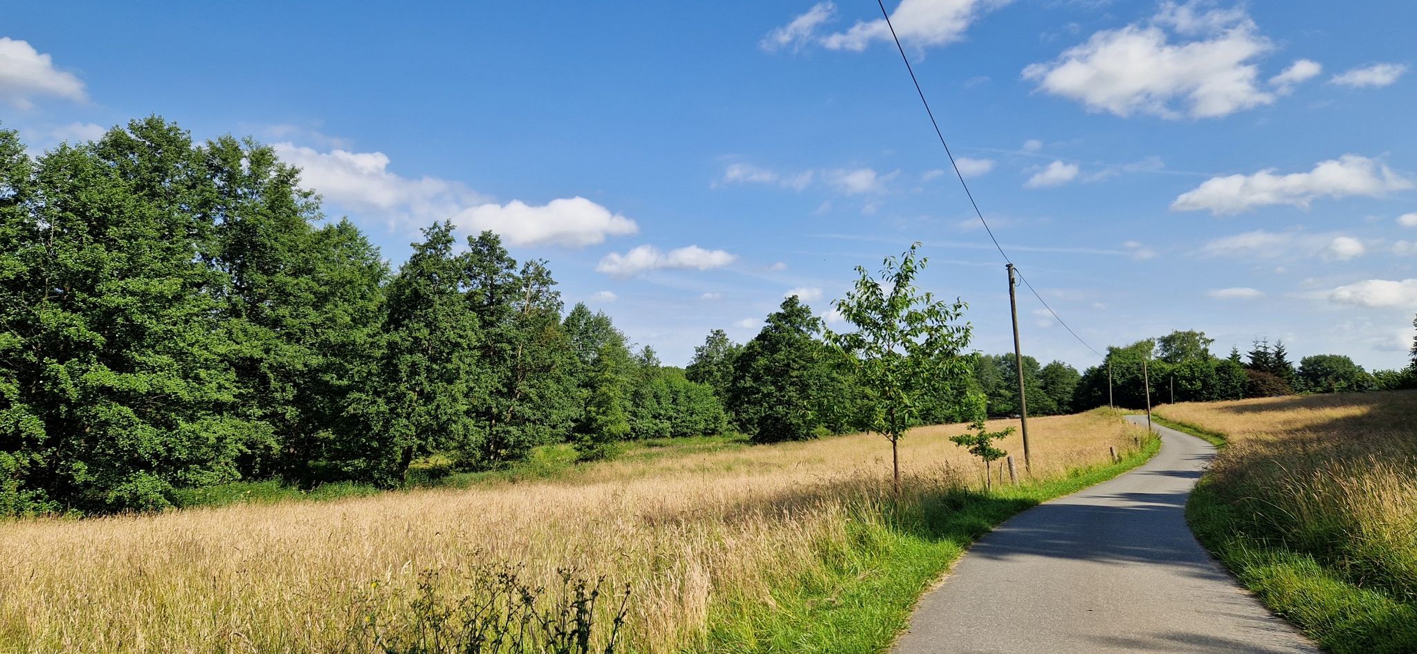 Reinfeld - Rehhorst