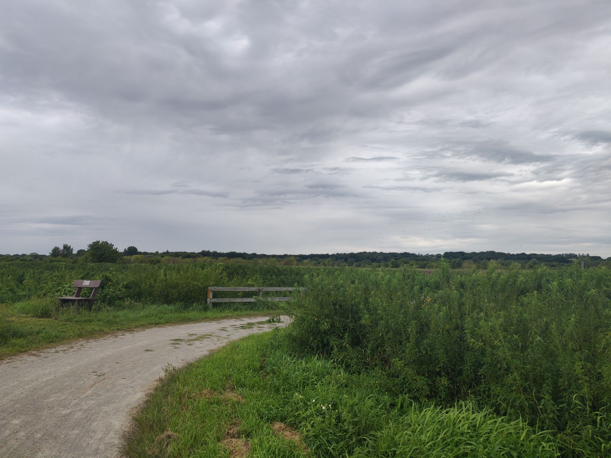 Dirt path curves through a green field under an overcast sky. - Glacial Drumlin State Trail loop from Hope Lake
