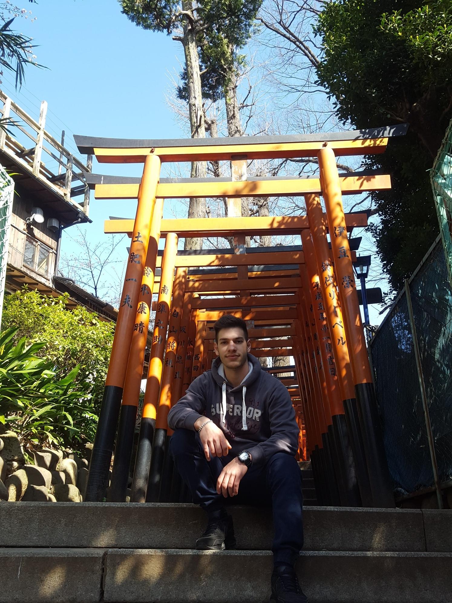 user avatar