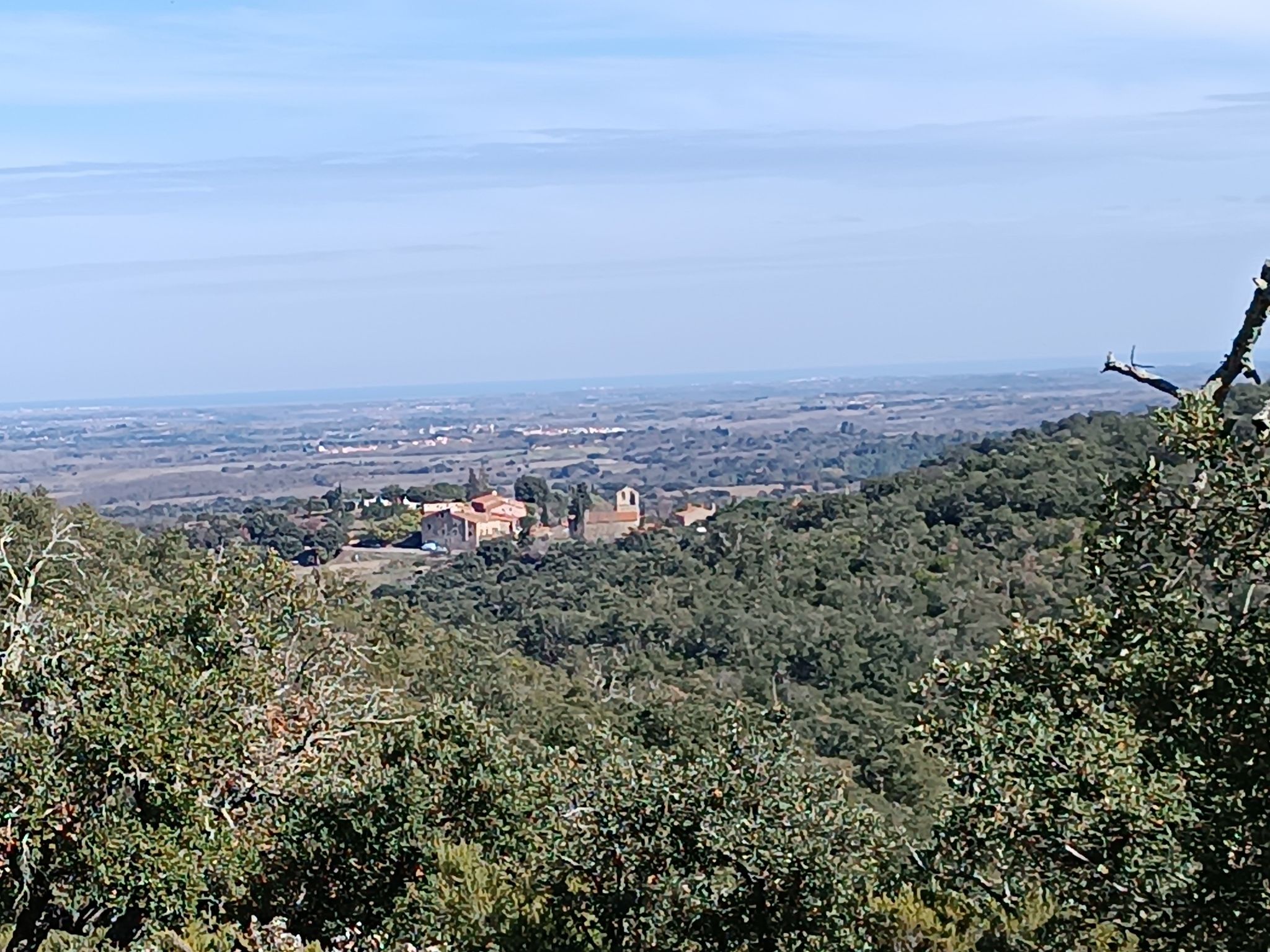 Torderes