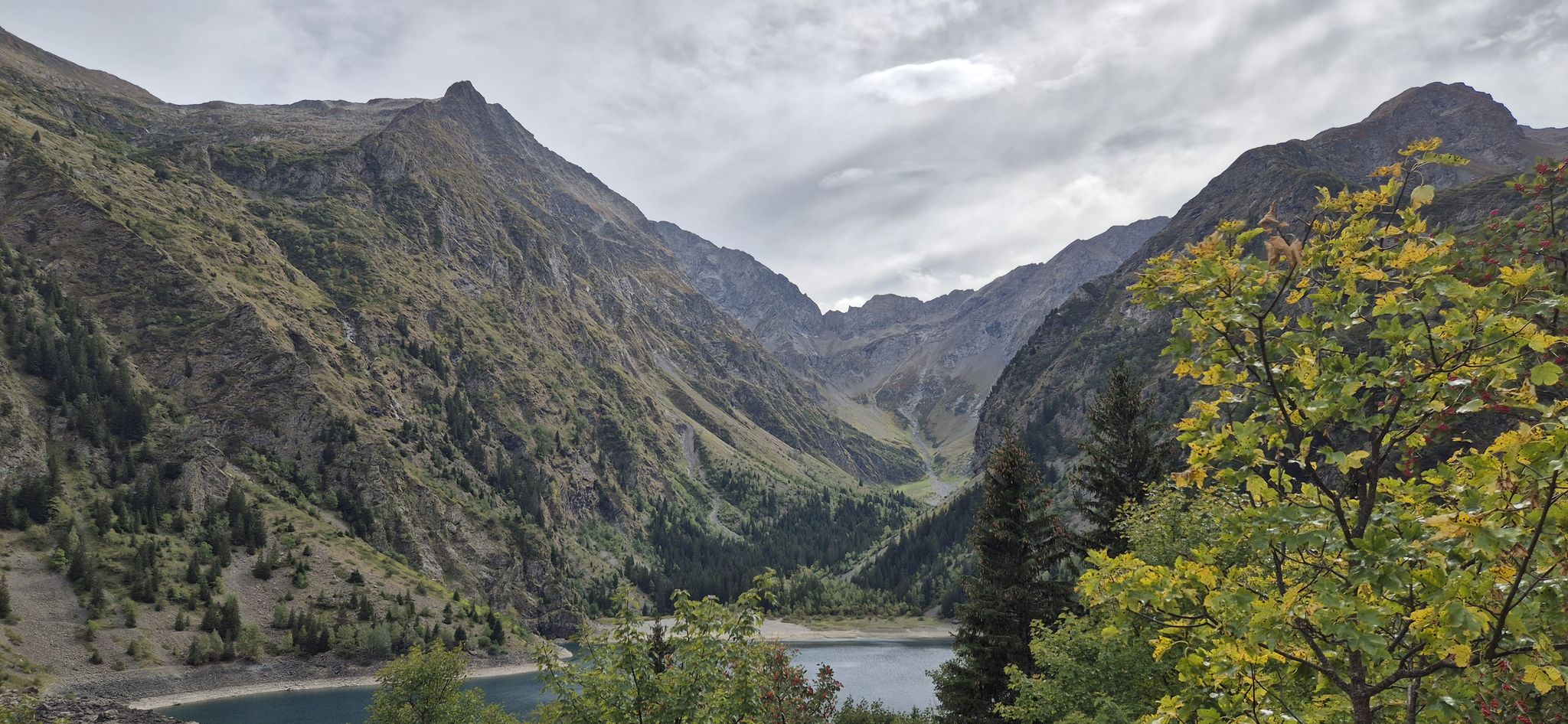Lauvitelsee
