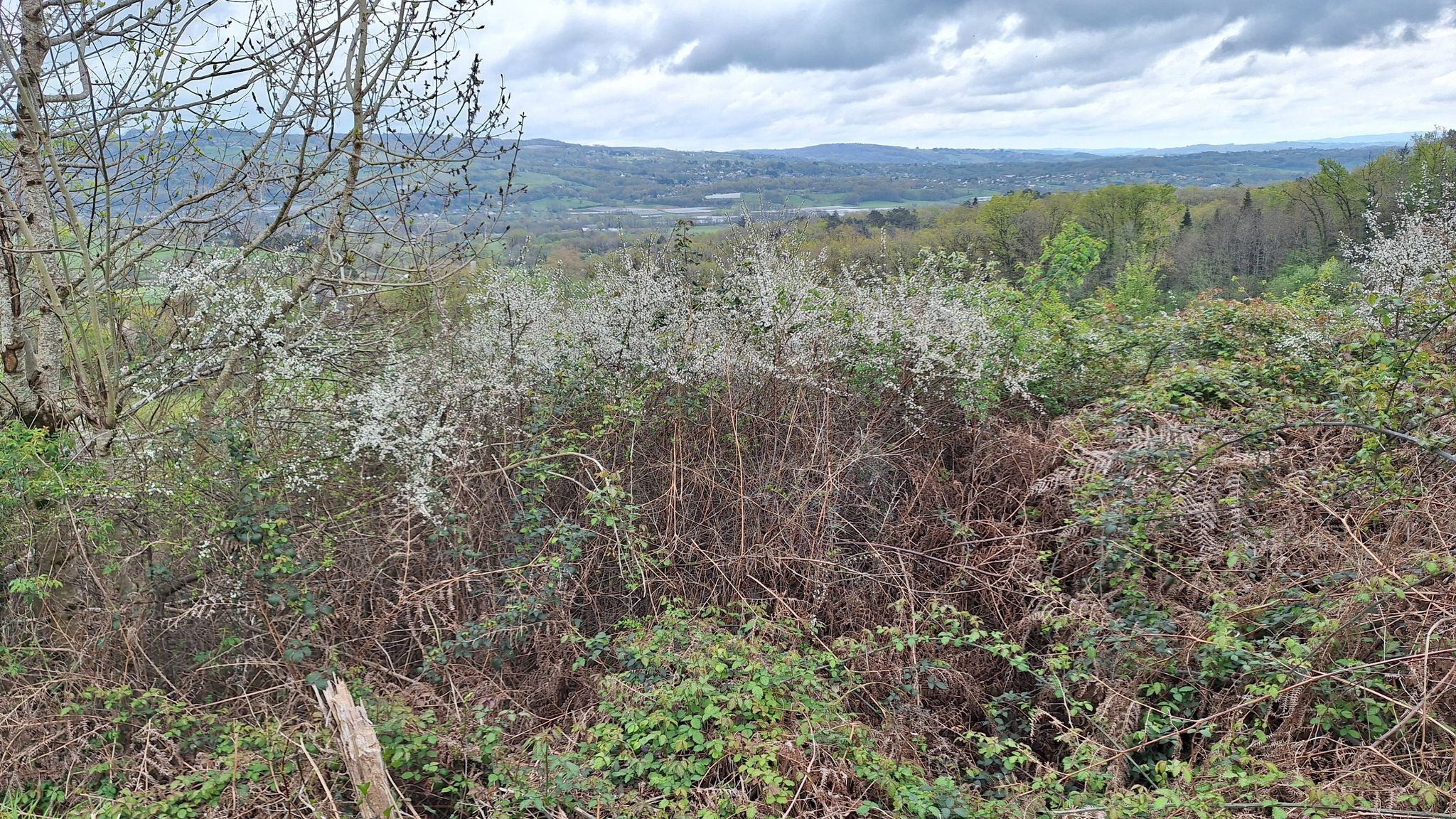 Vue sur la Vallée de la Vézère
