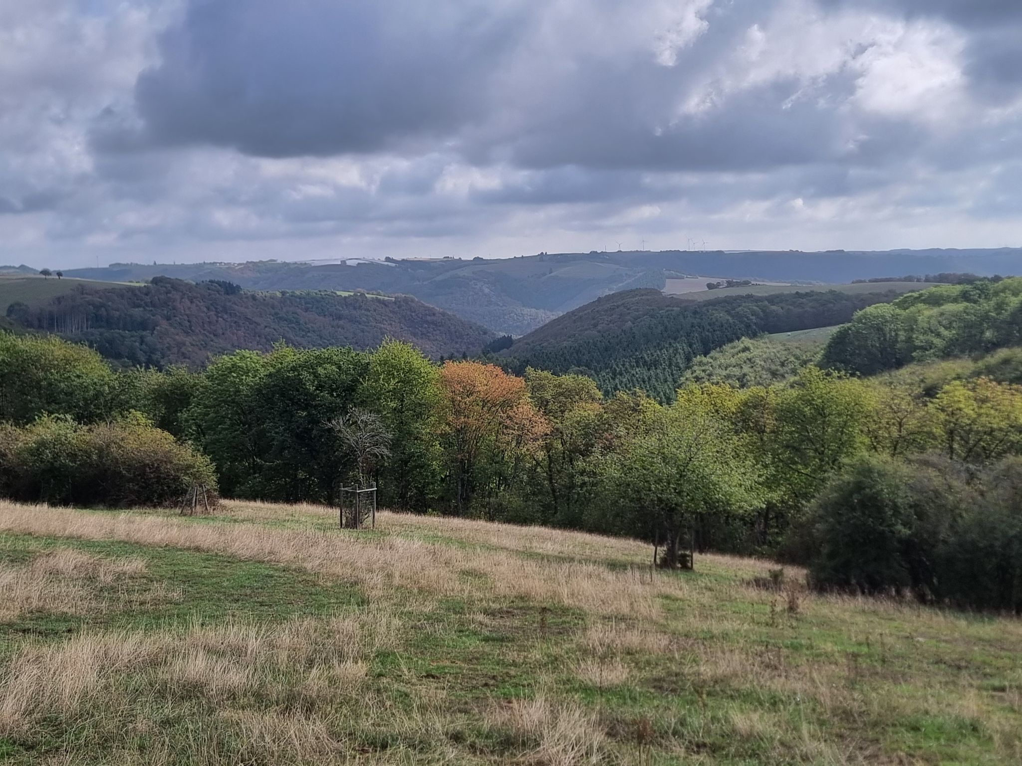 Pütscheid