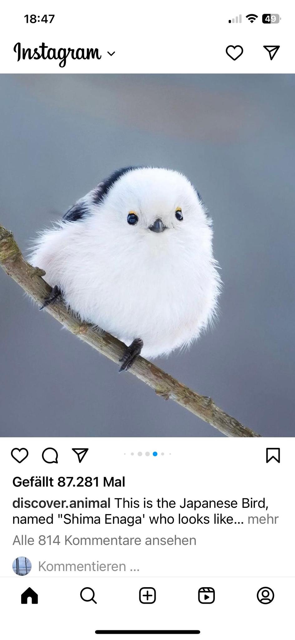 user avatar