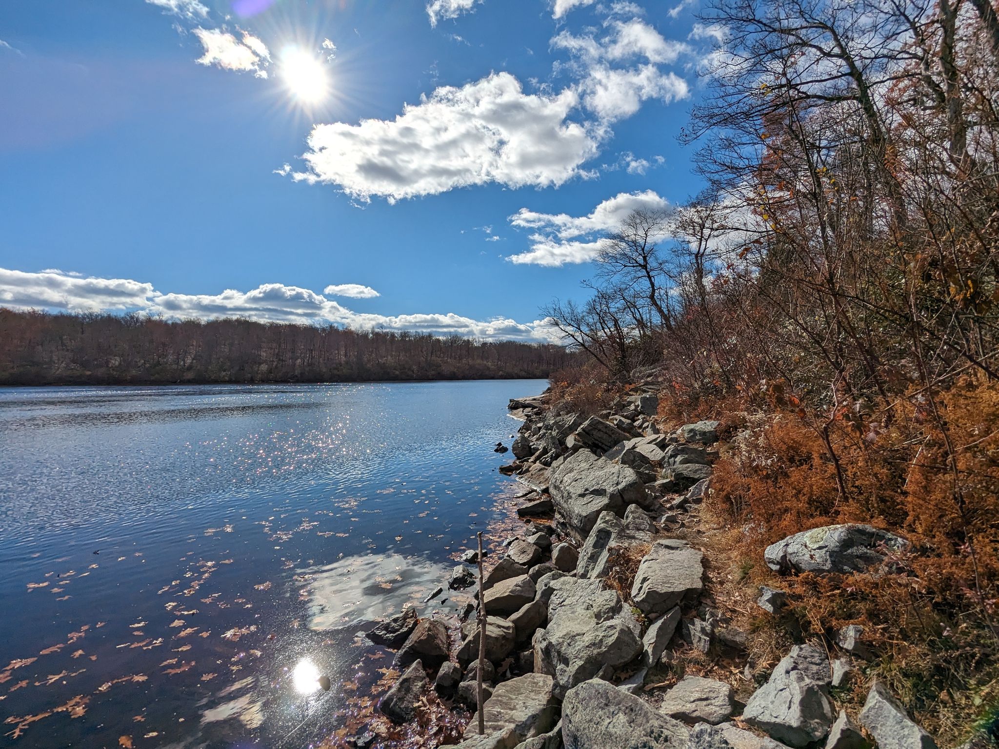 Bright sunny day over a lake with a rocky shoreline and bare trees. - Garvey Springs and Douglas Trail Loop