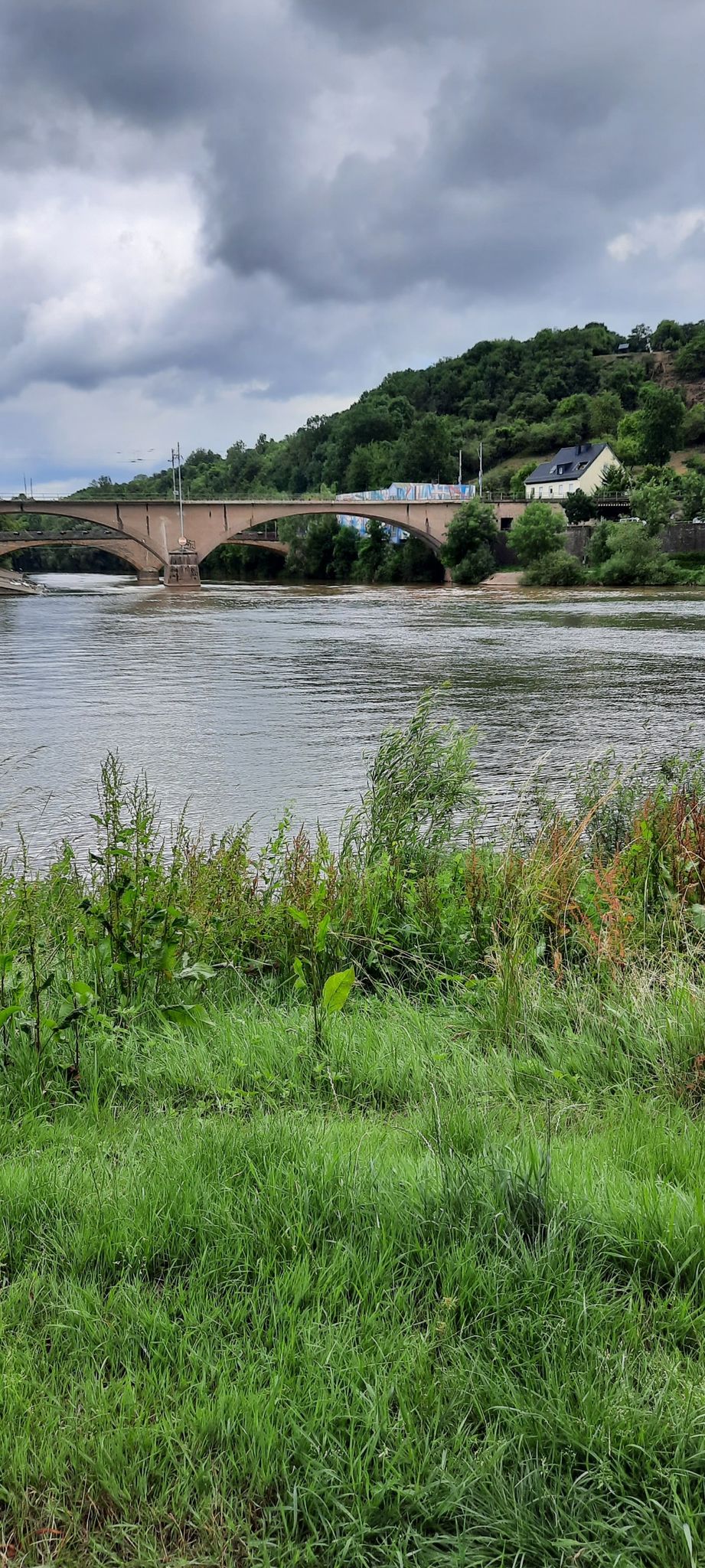 die Sauer fließt in die Mosel