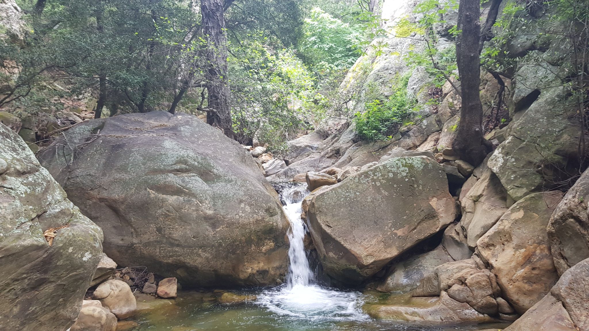 A small waterfall cascades over mossy rocks in a lush green forest. - Rattlesnake Canyon and Tunnel Trail