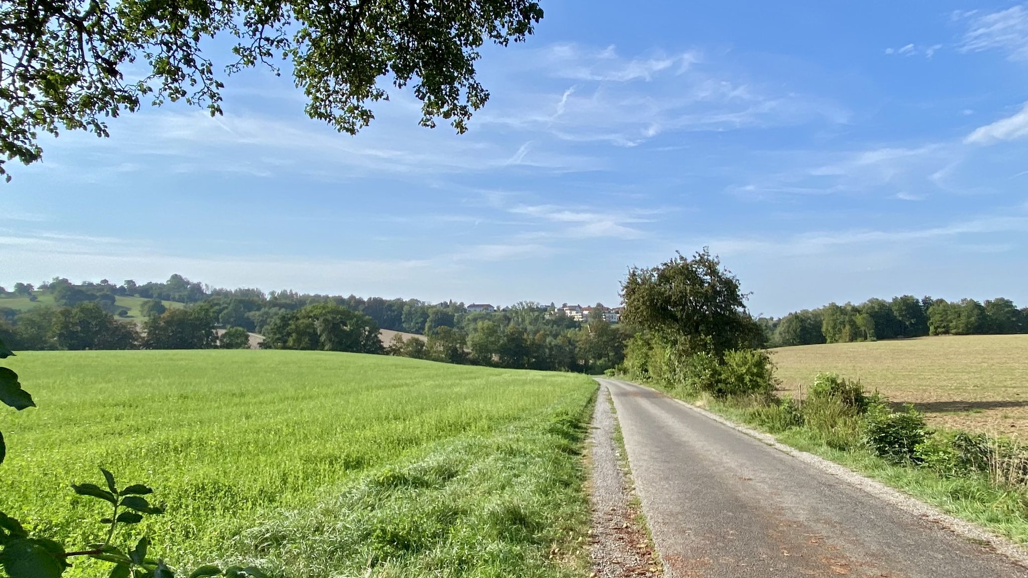 Garsten Laichbergweg