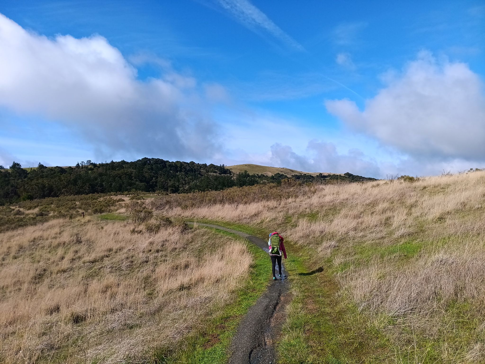 Hiker on a dirt path through golden hills under a bright blue sky. - White Oak and Stevens Creek Nature Trail Loop