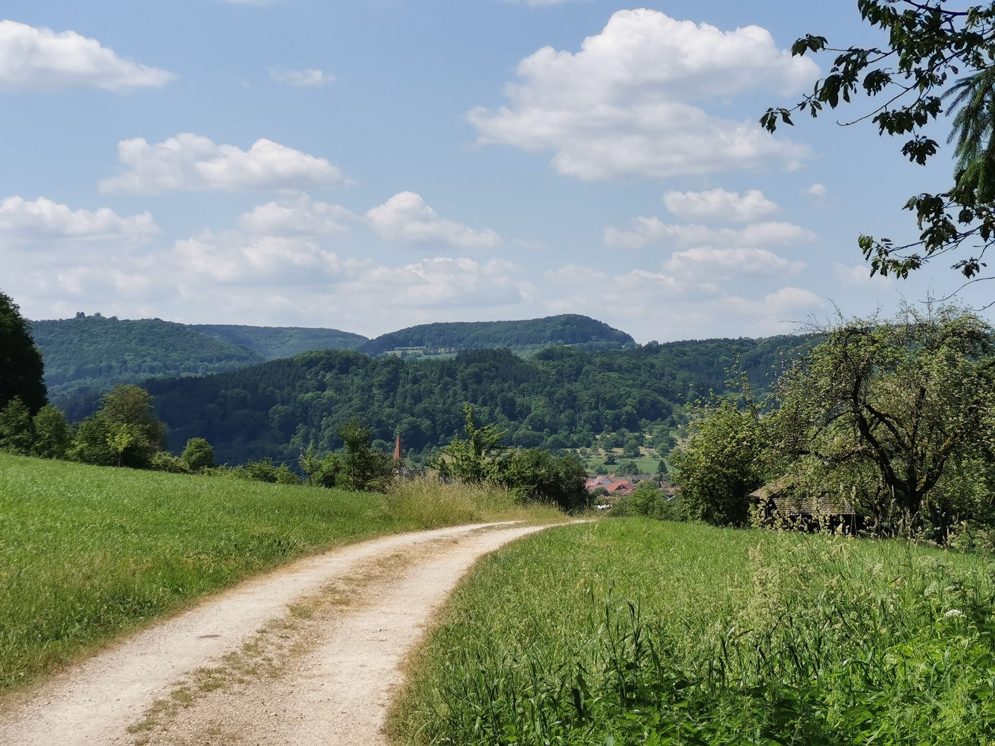 Blick nach Gingen