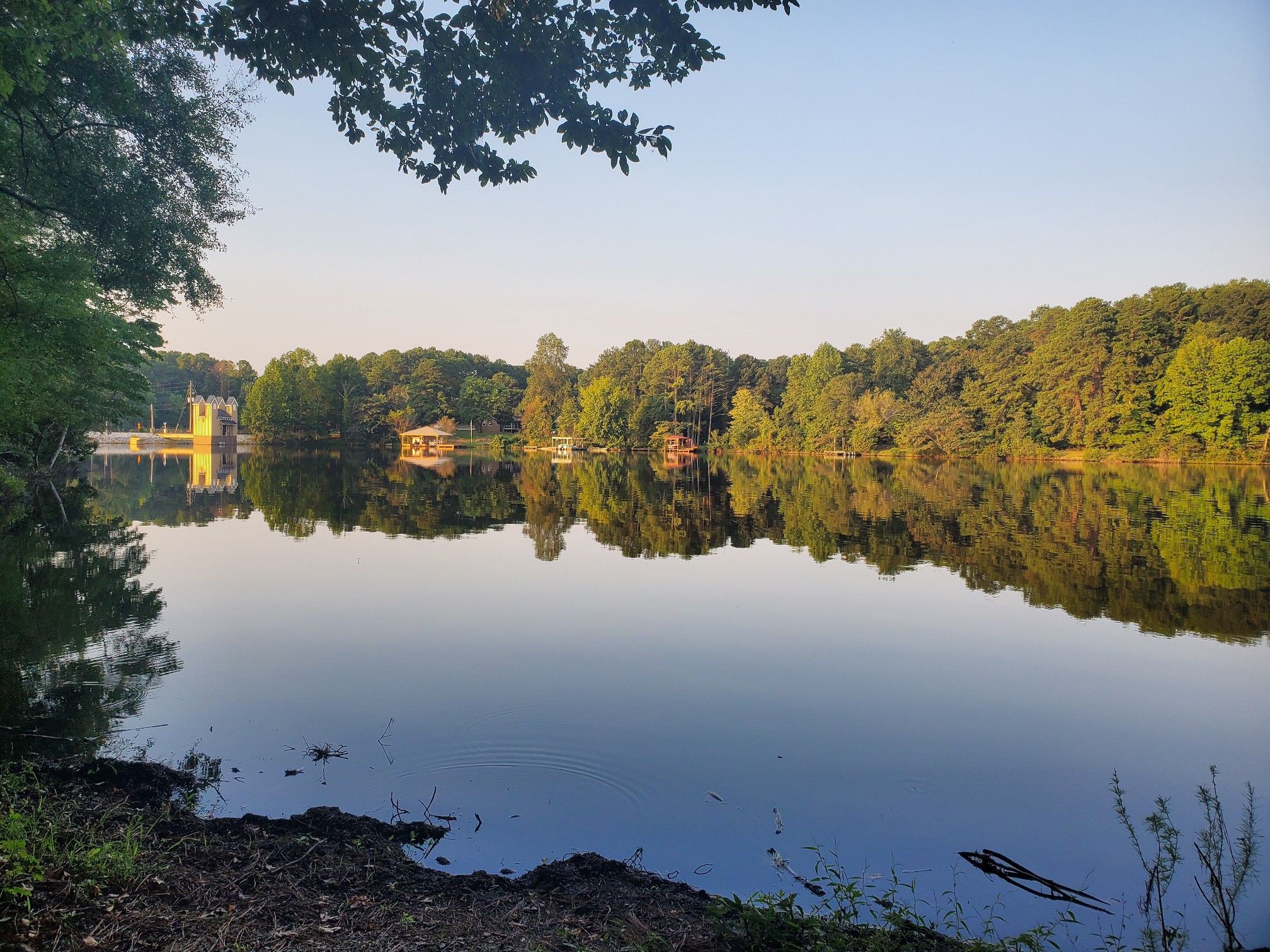 Calm lake reflecting lush green trees and distant buildings under soft light. - Lake Peachtree – Creek in the Woods loop from Flat Creek Nature Area Boardwalk
