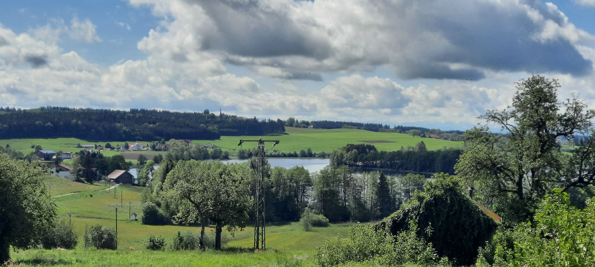 Elleratshofer Weiher