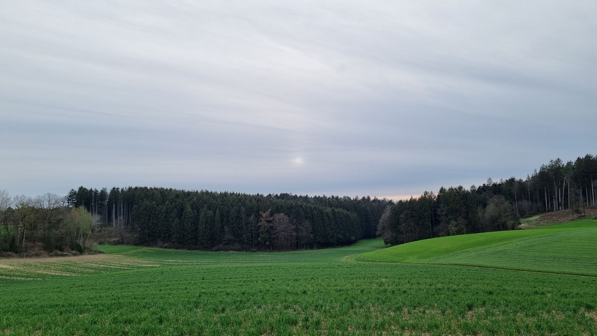 Sonne au nimmer do