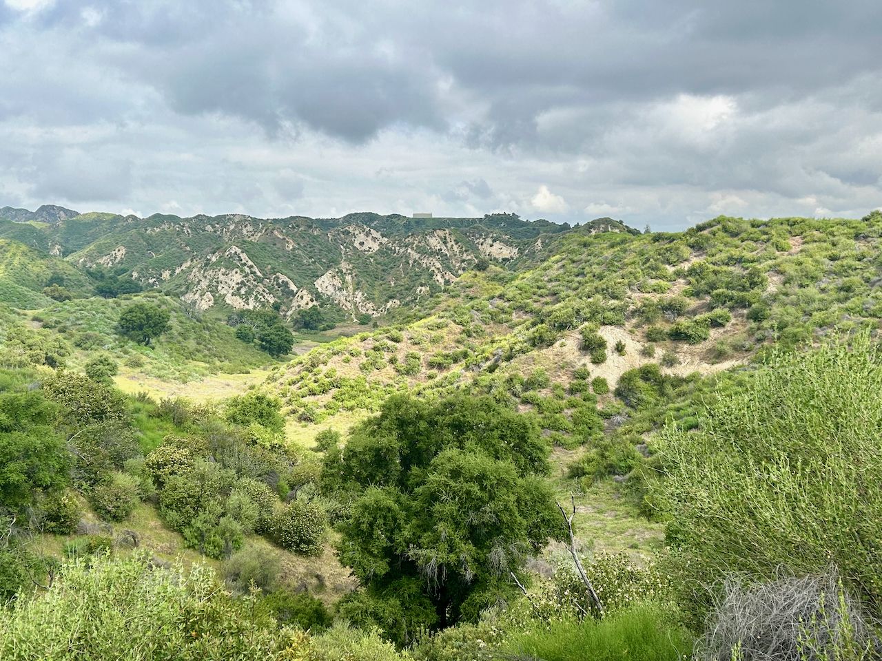 Lush green valley with distant rugged hills under a cloudy sky. - Lyons Ranch and Taylor Loop Trail