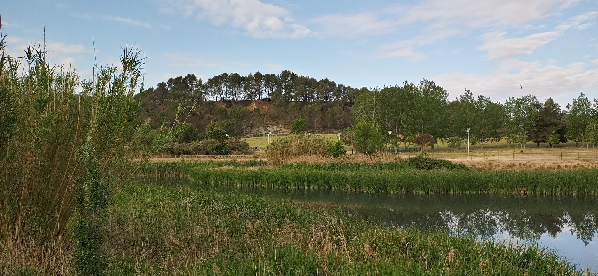 Parc Fluvial riu Anoia
