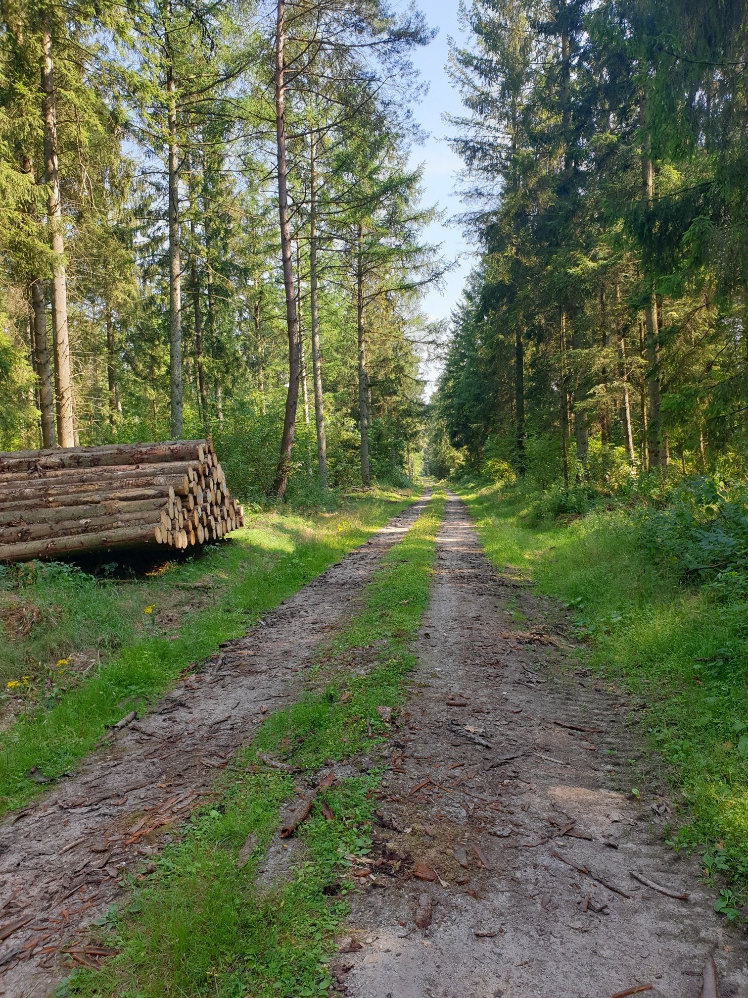Weg