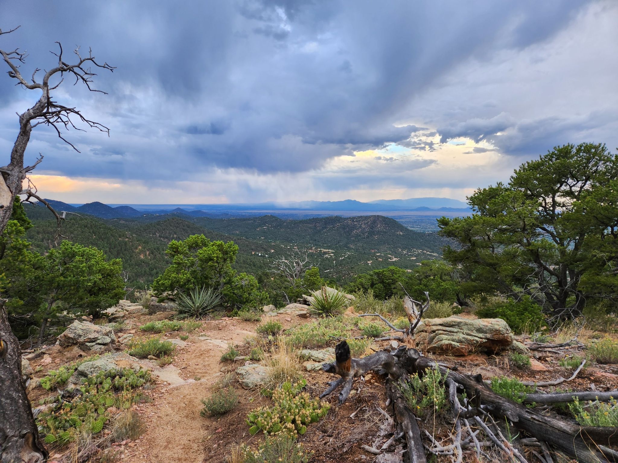 Mountain landscape under dramatic cloudy sky, with a dirt path and dead trees. - Dale Ball Trails