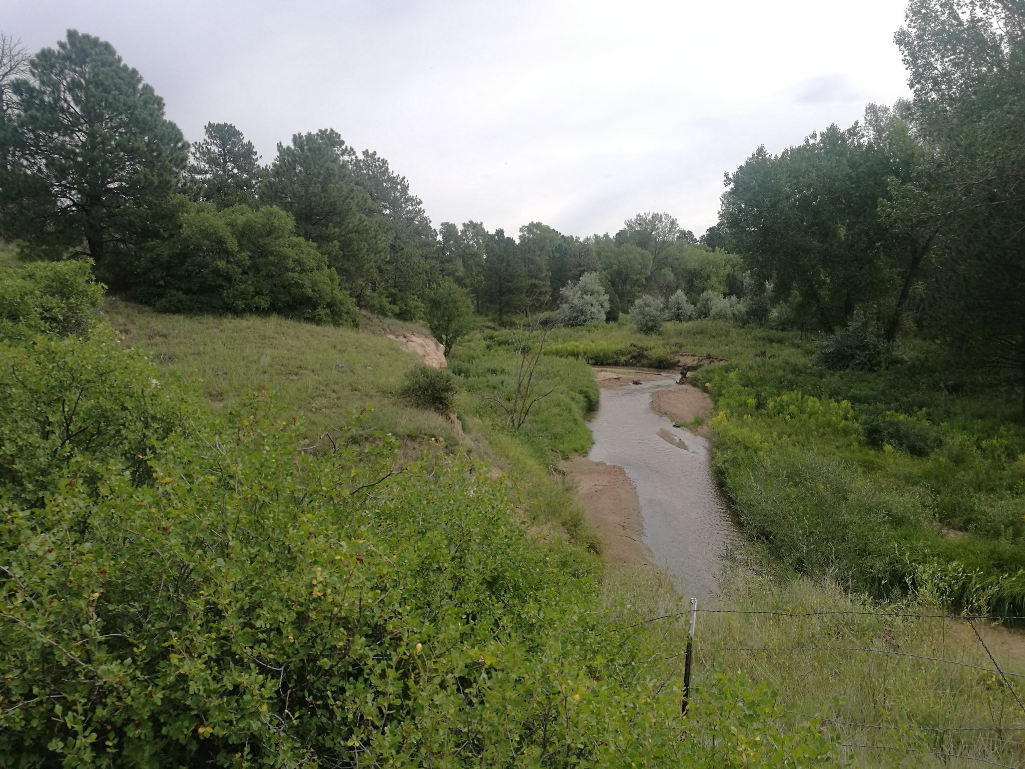 A narrow river winds through a lush green valley under an overcast sky. - Monument Creek Bridge – New Santa Fe Regional Trail loop from Air Academy High School