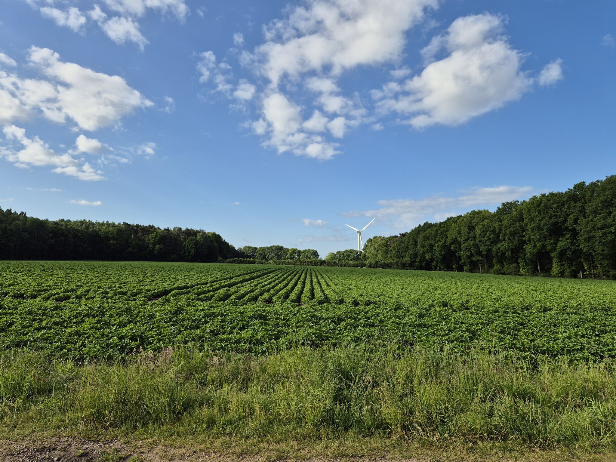 In der Landschaft-