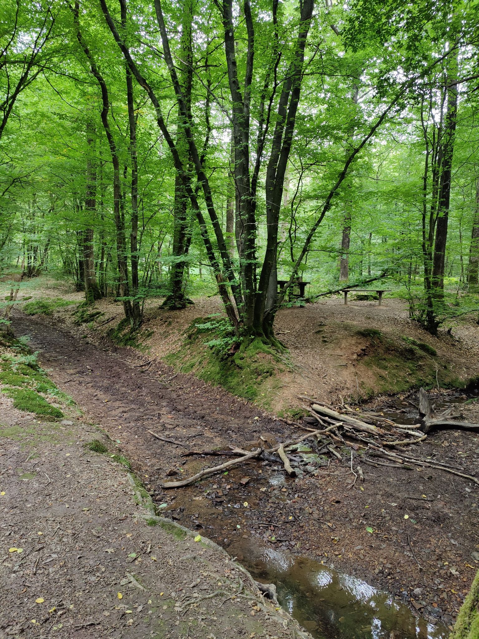 Les trois Fontaines
