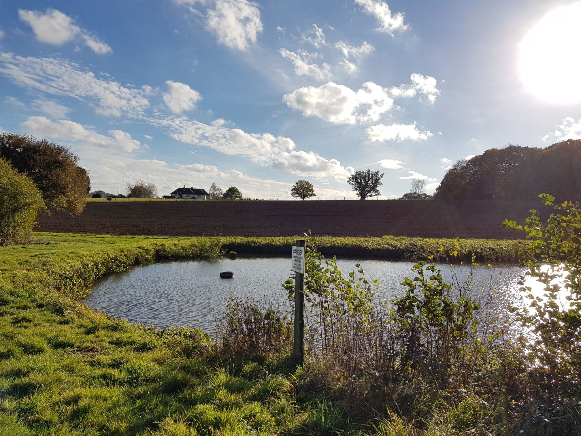Pond