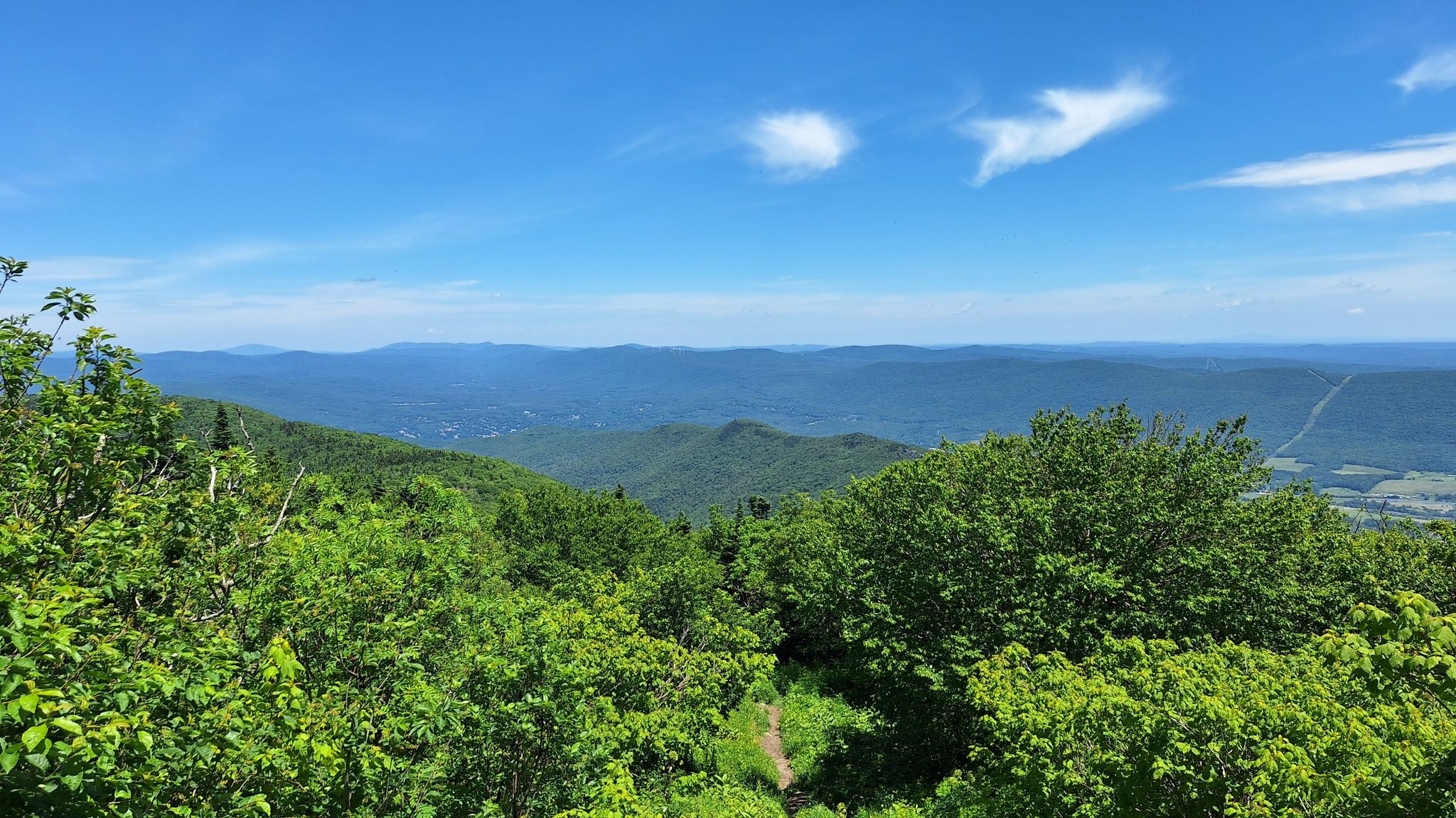 Vast green mountain landscape under a bright blue sky with white clouds. - Mount Greylock via Bellows Pipe Trail