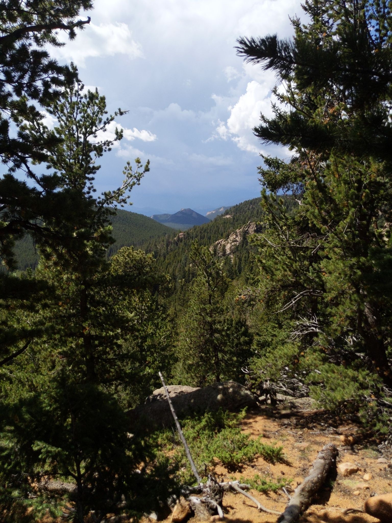 View through pine trees of distant mountains and a valley under a cloudy sky. - North Elk Creek Trail loop from Brook Forest