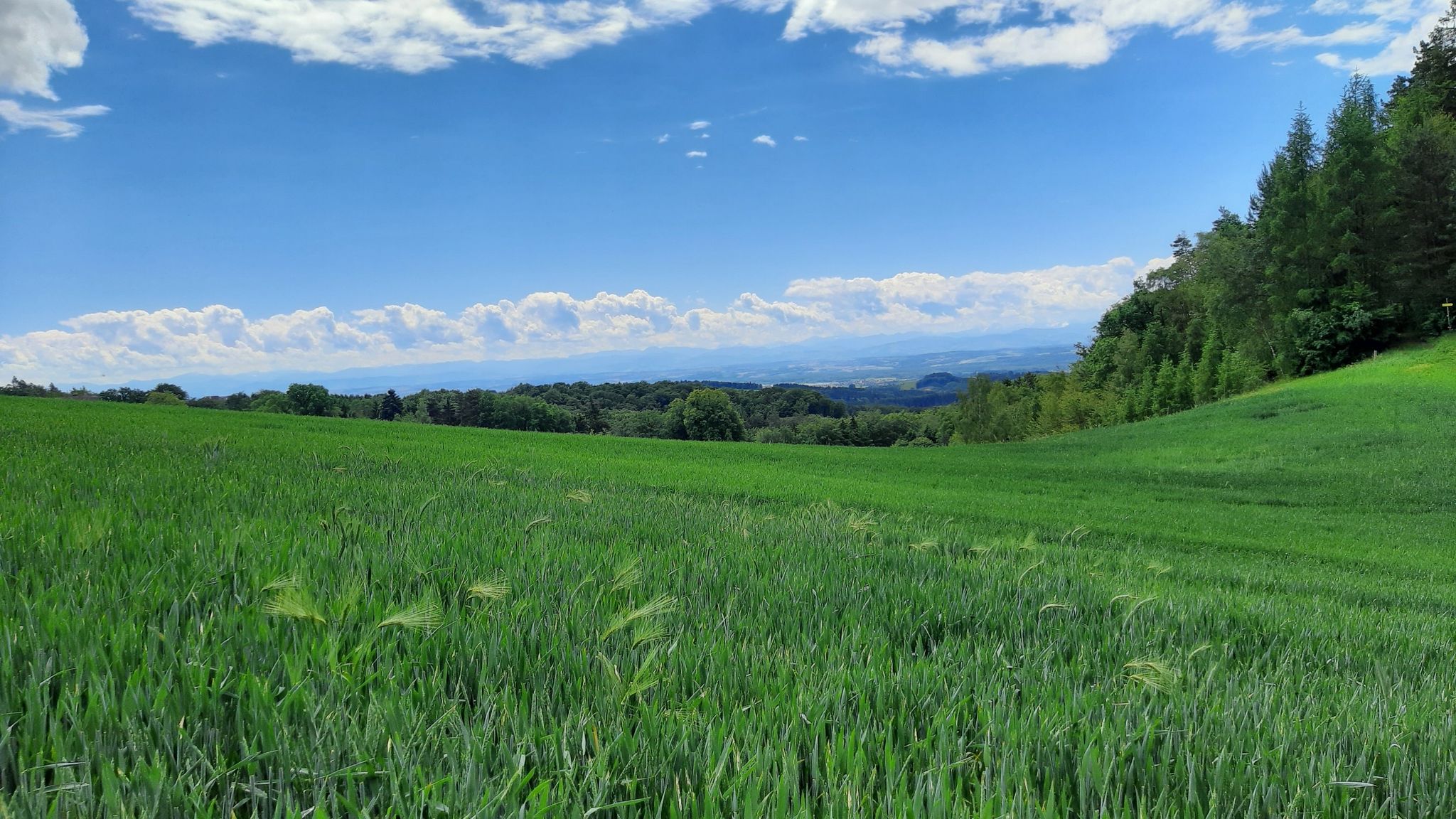 Mühlviertel, einfach wunderschö.