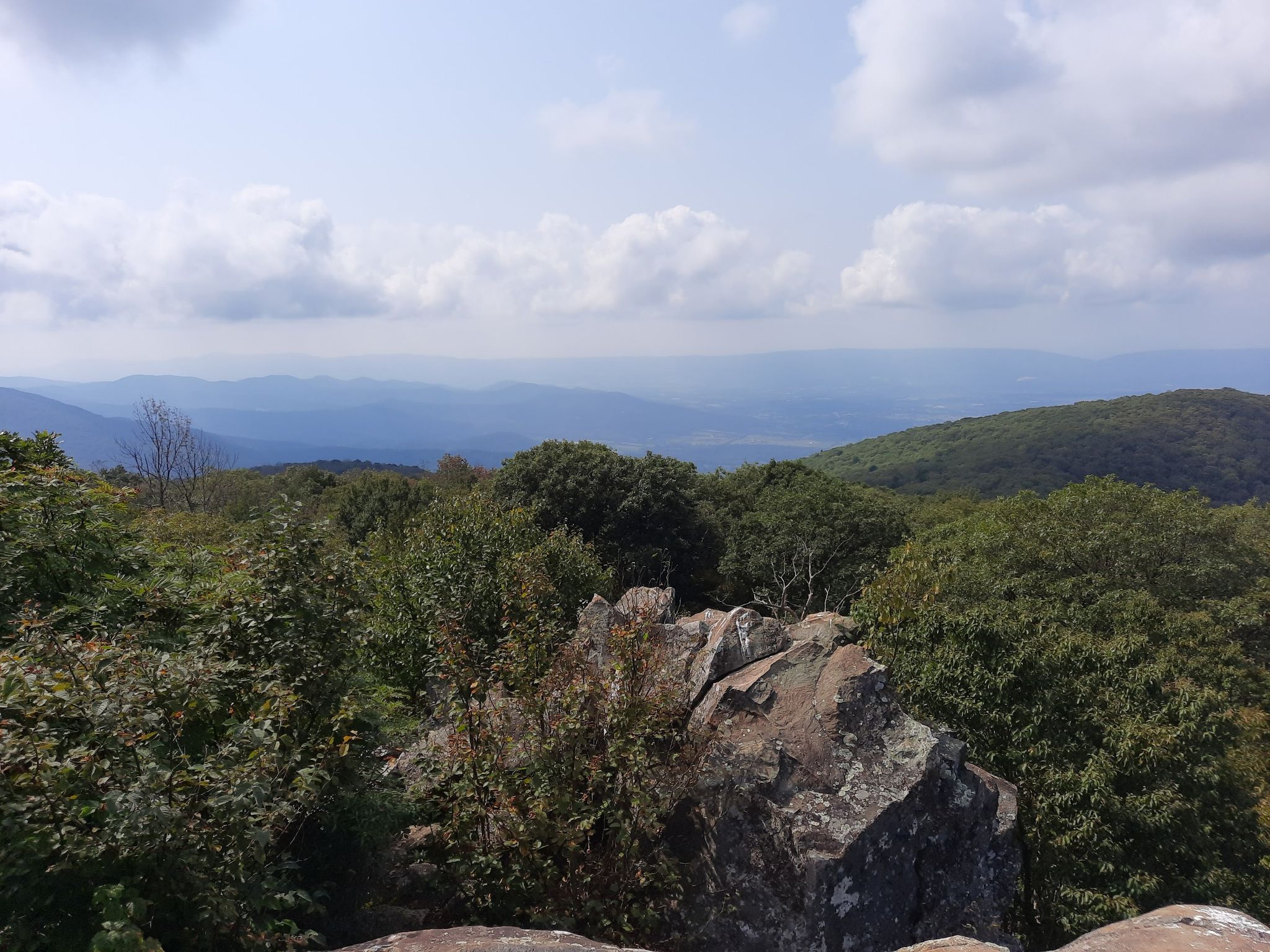 Mountain vista with green trees and rocks under a cloudy sky. - Hawksbill Mountain via Appalachian Trail
