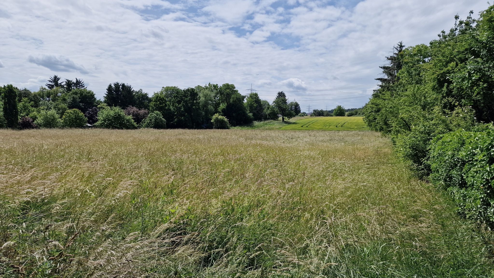 Am Ortsrand von Zeilsheim