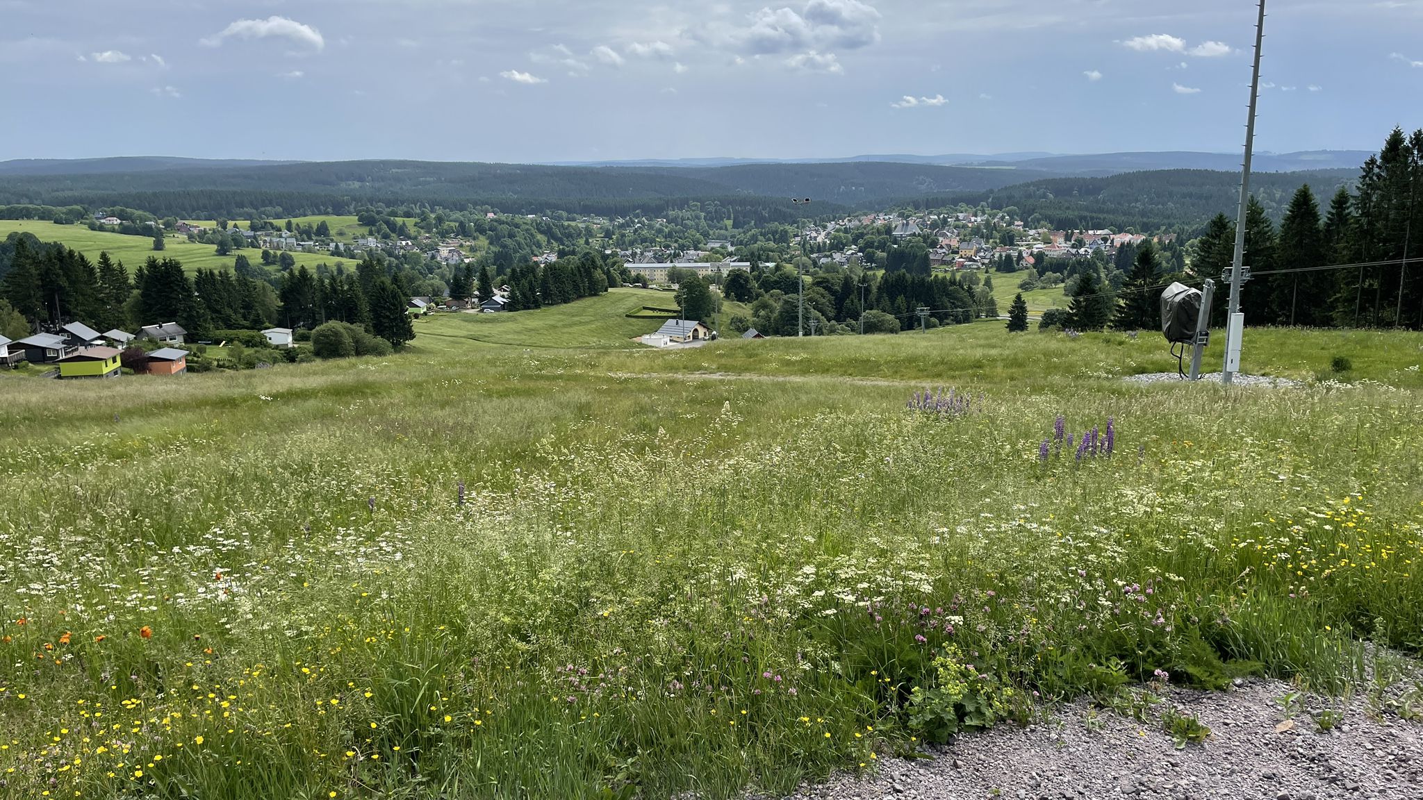 Blick auf Schmiedefeld