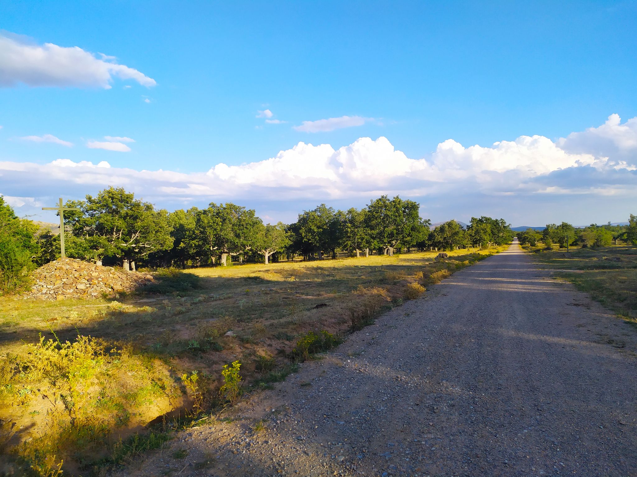Camino hacia Ermita de Santos Nuevos