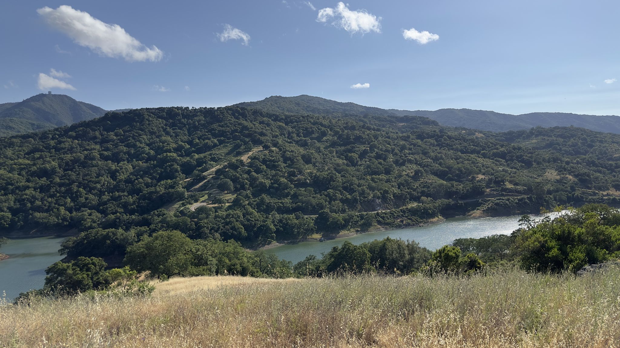 Sunny view of a lake nestled among green, forested hills. - Randol and New Almaden Trail Loop