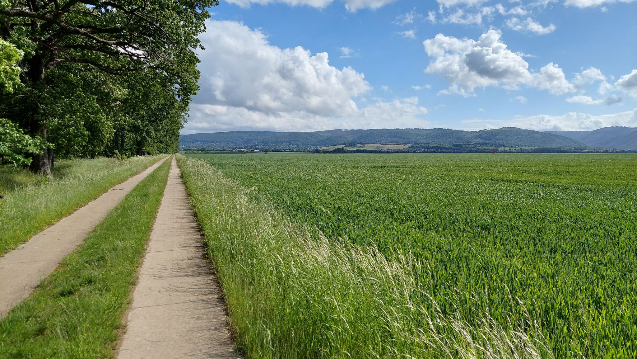 kurz vor Bad Harzburg