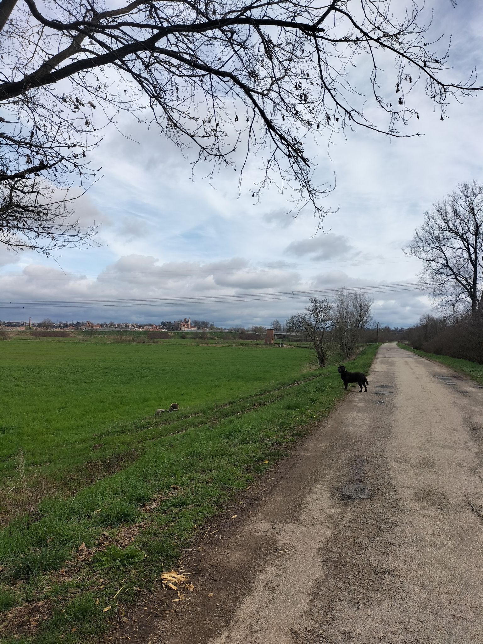 Sommariva del Bosco
