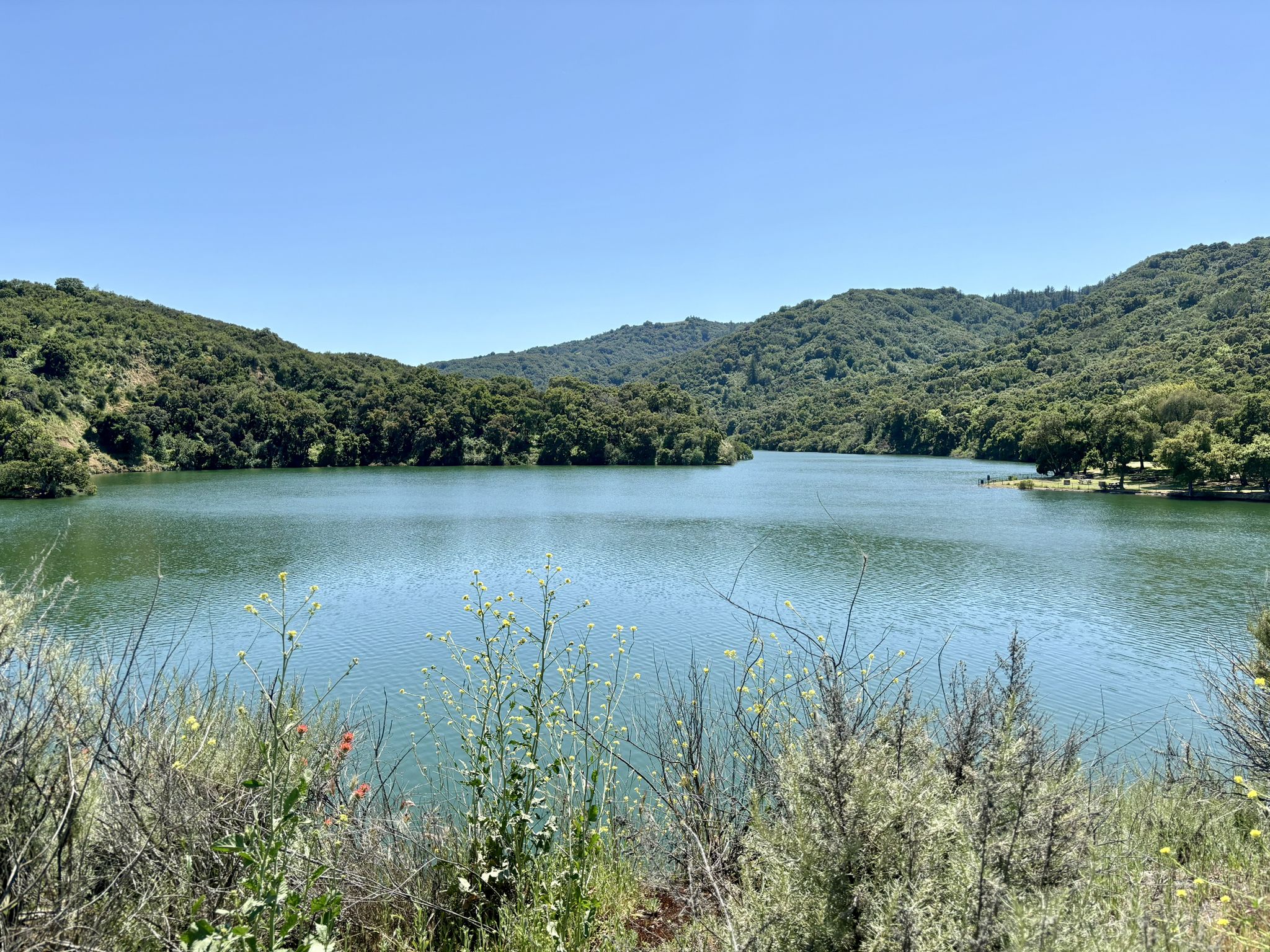 A wide view of a blue-green lake surrounded by dense green hills, sunny. - Stevens Creek Reservoir Loop